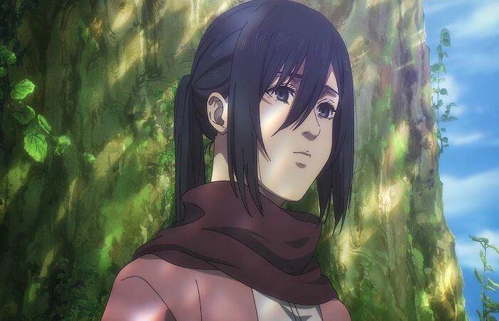 Mikasa trở nên sắc sảo hơn sau sự ra đi của cha mẹ