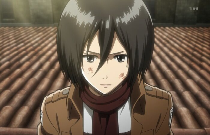 Mikasa được đánh giá quyến rũ trong Anime